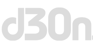 d30 grey logo
