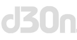 d30 grey logo